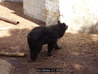 Zoo Ostrava 14.7.2009- 007.jpg, 26kB